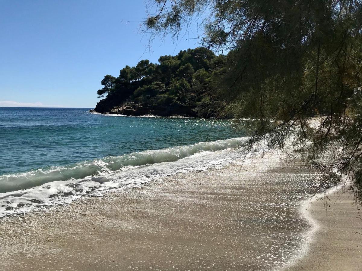 Villa Les Alizes Le Le Rayol-Canadel-sur-Mer 外观 照片