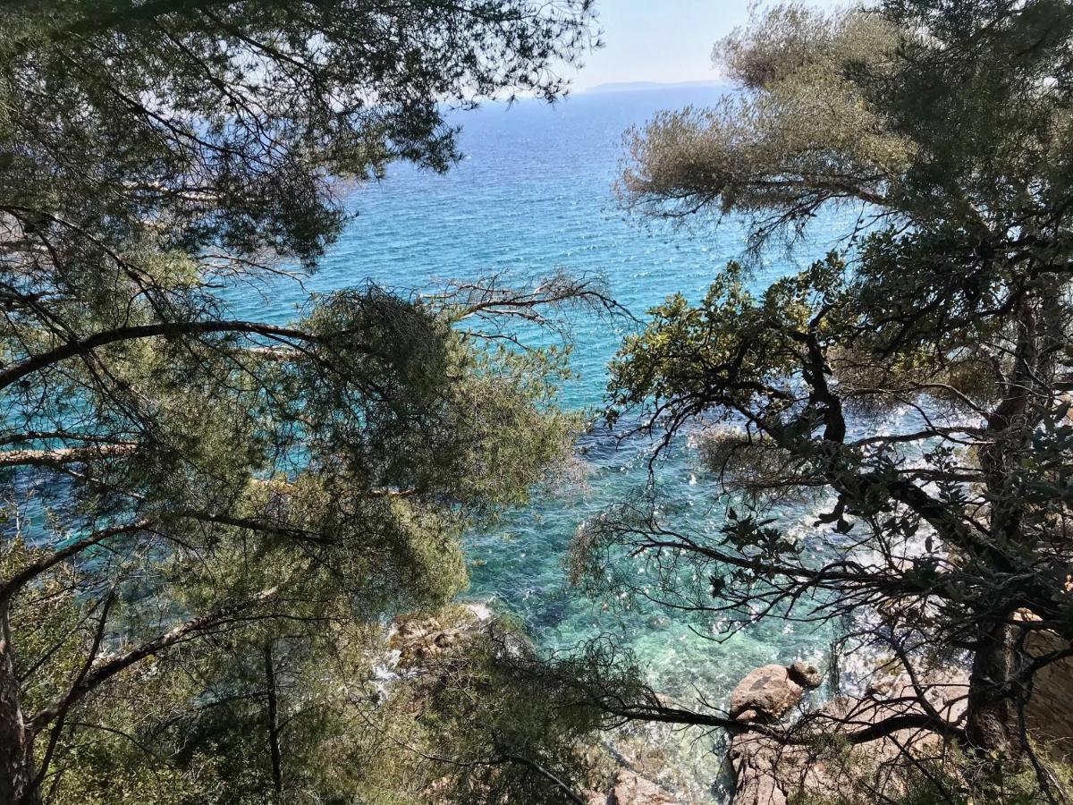 Villa Les Alizes Le Le Rayol-Canadel-sur-Mer 外观 照片