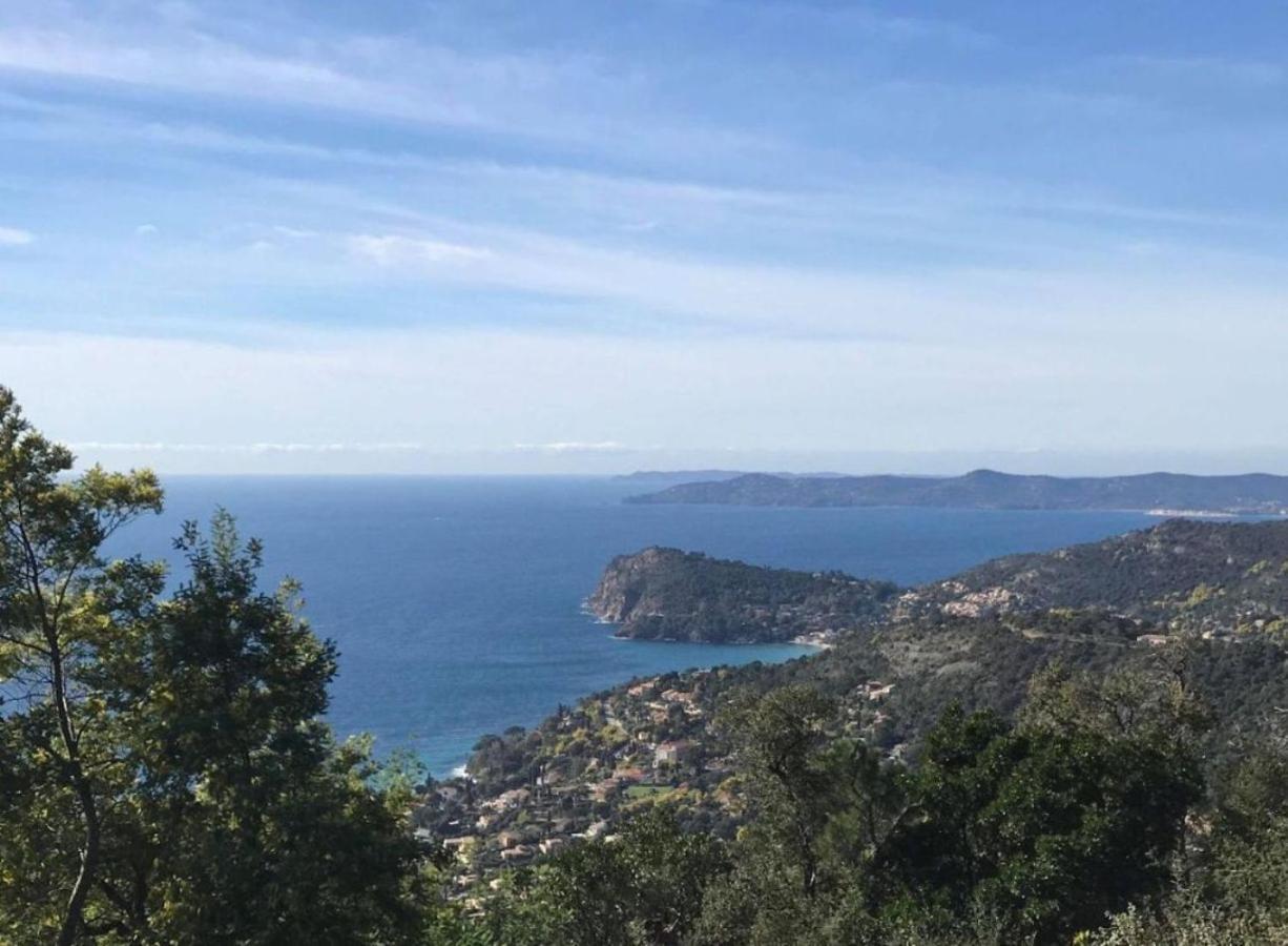 Villa Les Alizes Le Le Rayol-Canadel-sur-Mer 外观 照片