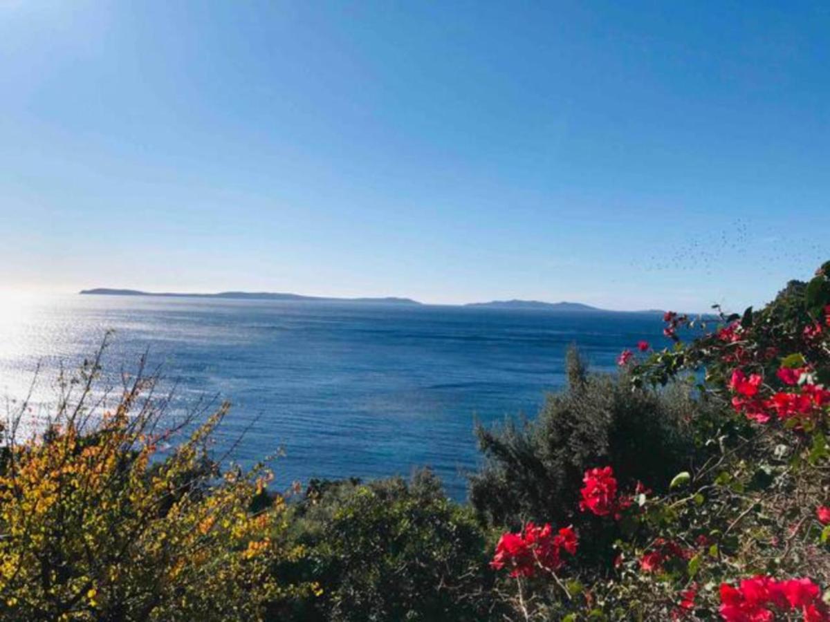 Villa Les Alizes Le Le Rayol-Canadel-sur-Mer 外观 照片