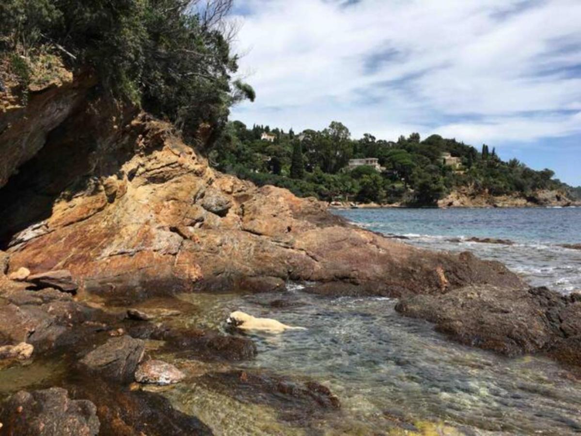 Villa Les Alizes Le Le Rayol-Canadel-sur-Mer 外观 照片