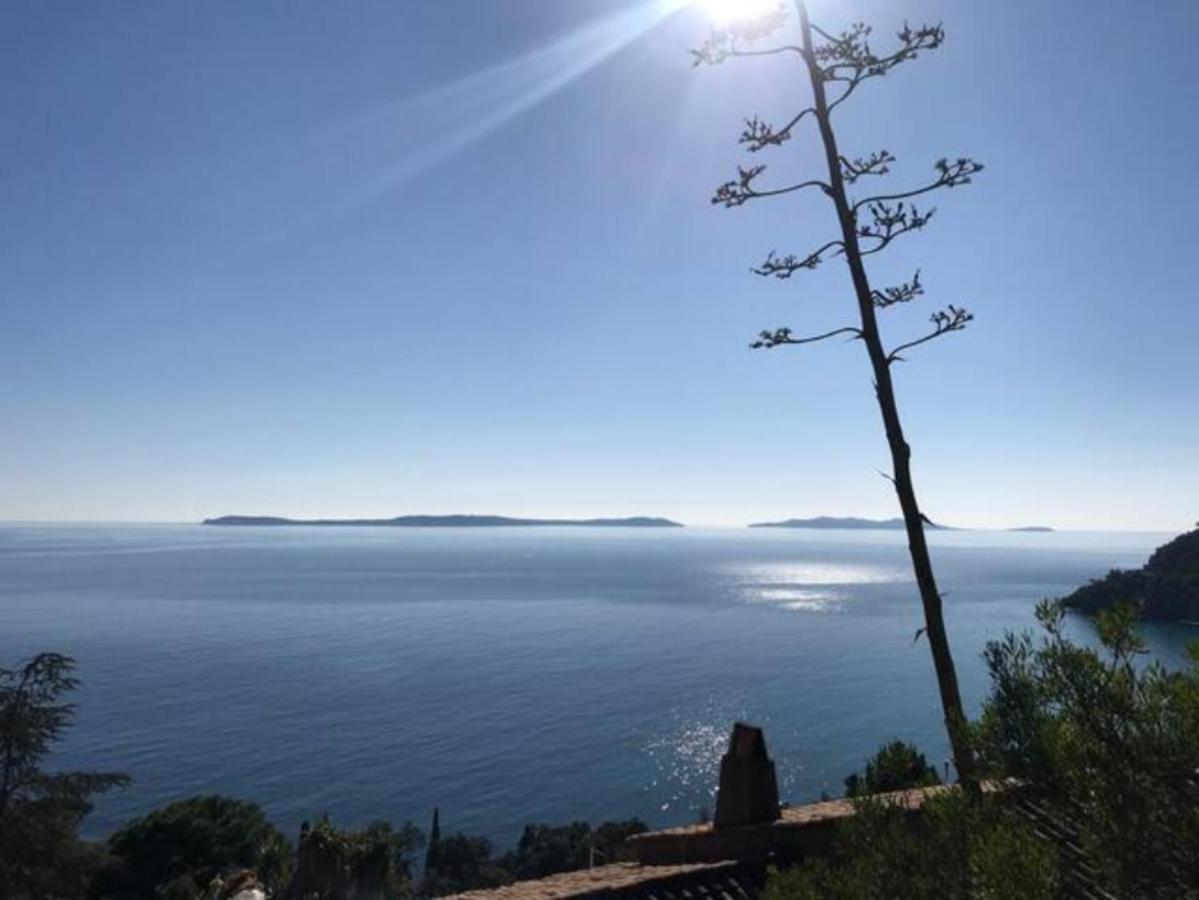 Villa Les Alizes Le Le Rayol-Canadel-sur-Mer 外观 照片
