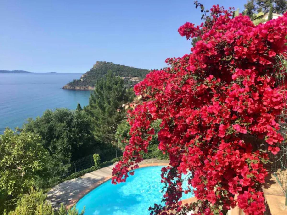 Villa Les Alizes Le Le Rayol-Canadel-sur-Mer 外观 照片