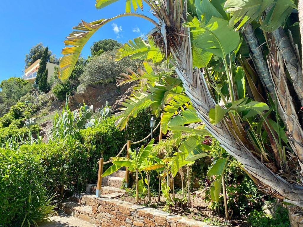 Villa Les Alizes Le Le Rayol-Canadel-sur-Mer 外观 照片