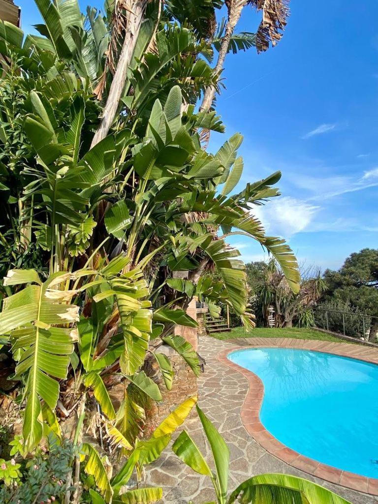 Villa Les Alizes Le Le Rayol-Canadel-sur-Mer 外观 照片