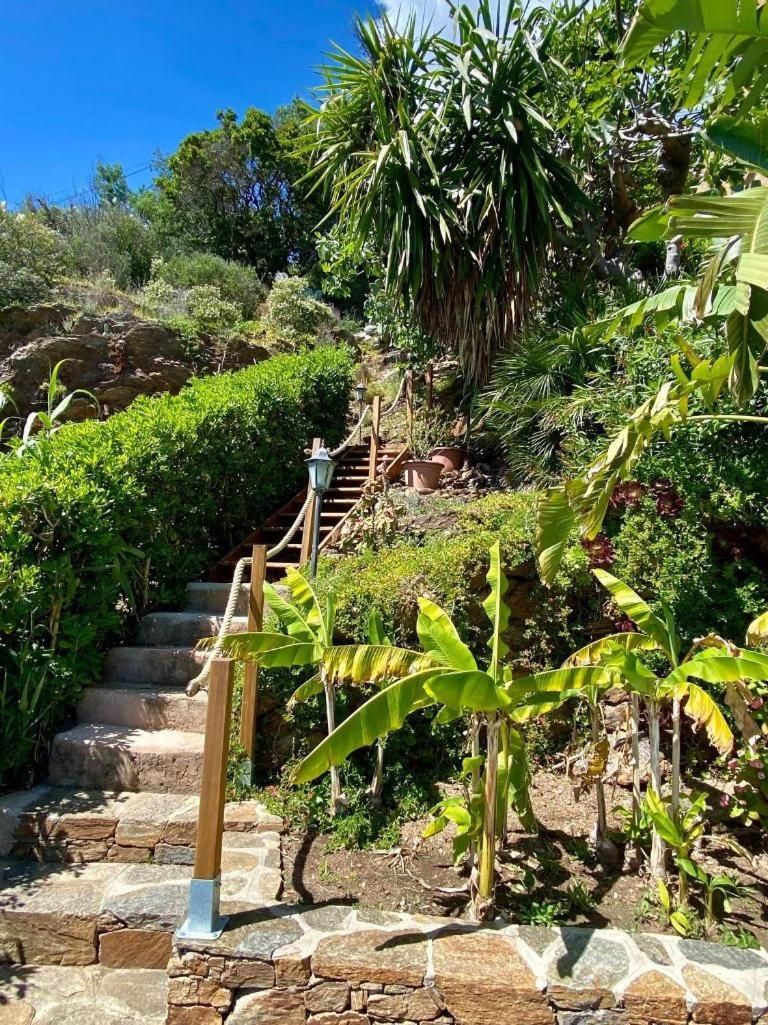 Villa Les Alizes Le Le Rayol-Canadel-sur-Mer 外观 照片