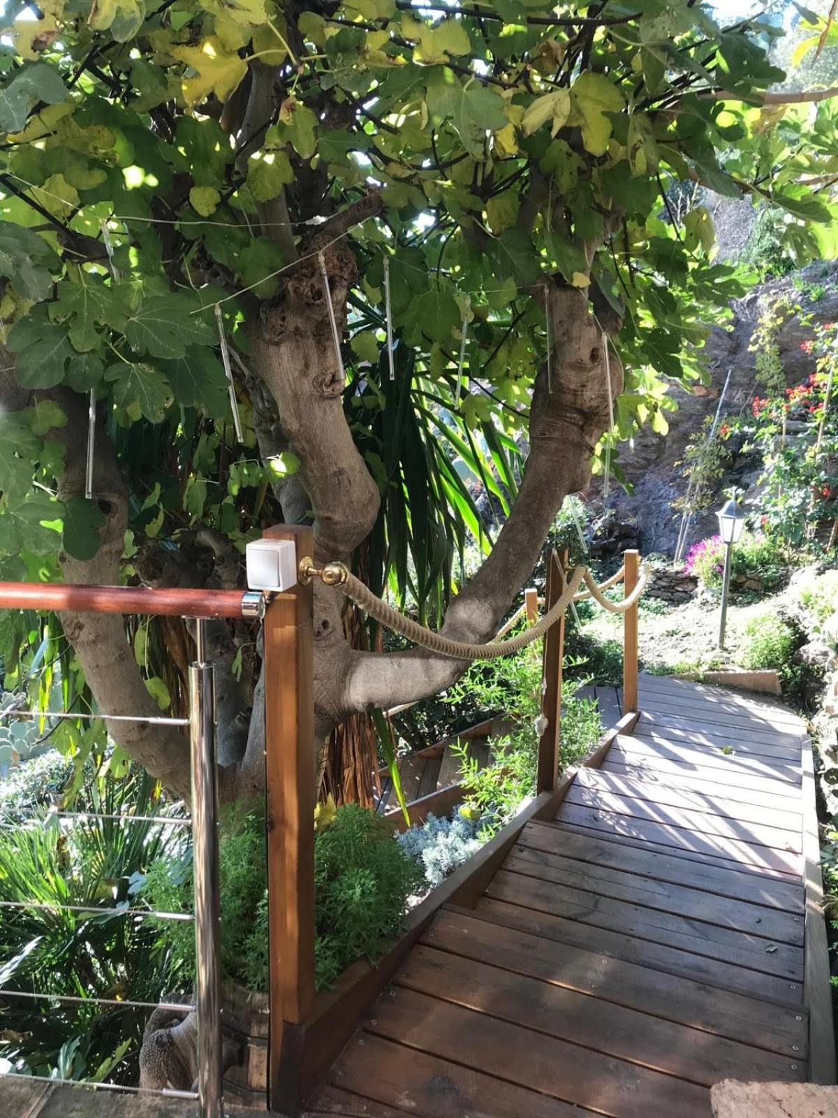 Villa Les Alizes Le Le Rayol-Canadel-sur-Mer 外观 照片